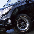 D-Force AKRO + TOYOTA PRADO 150